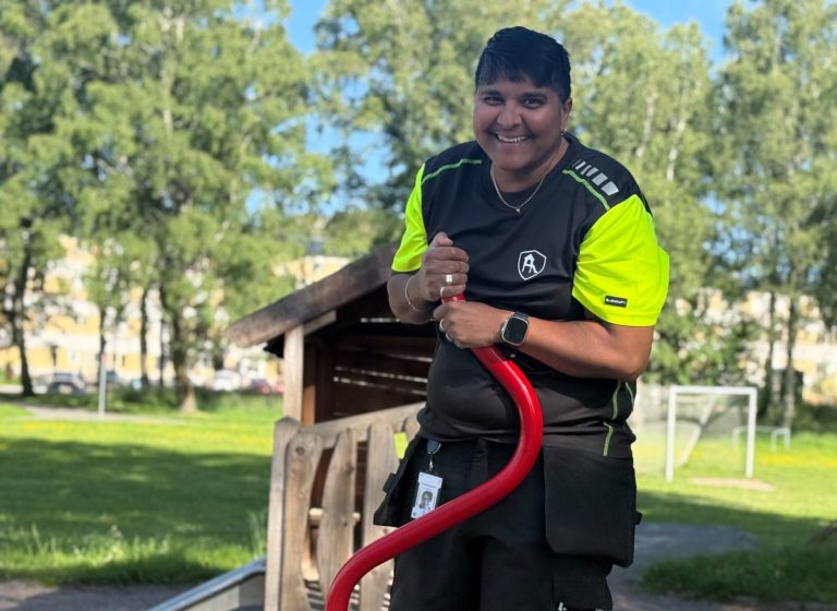 vd, ceo, lekplatsinspektören i väst, lekplatsinspektören, inspektör, besiktning